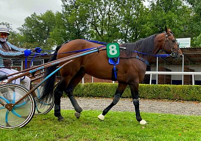 2023 08 27 Aarau IMG 7439 Alcide