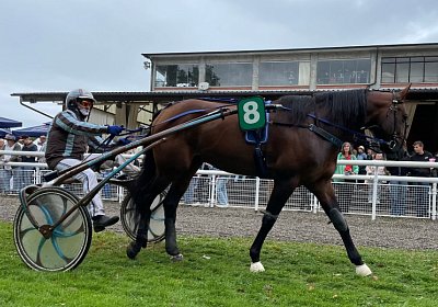 2023 08 27 Aarau IMG 7448 Alcide