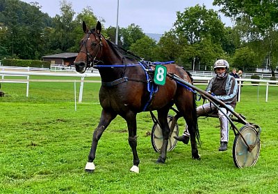 2023 08 27 Aarau IMG 7470 Alcide