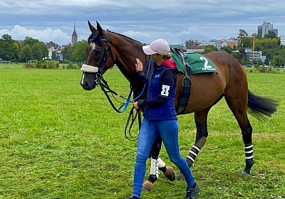 2023 08 27 Aarau IMG 7471 Fandango