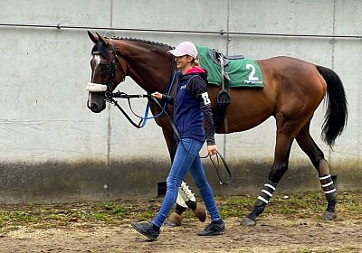 2023 08 27 Aarau IMG 7490 Fandango