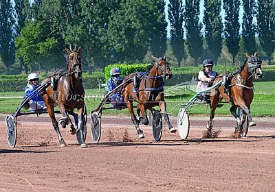 2023 09 01 Avenches K uw 01 03 gwaii haanas divina trio harmony rose