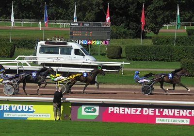 2023 09 10 Maggiore Avenches M S7670037 Maggiore Jack