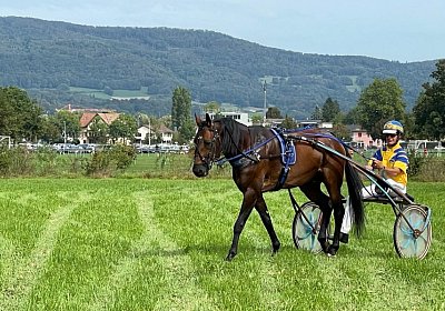 2023 09 17 Aarau IMG 9224 Alcide