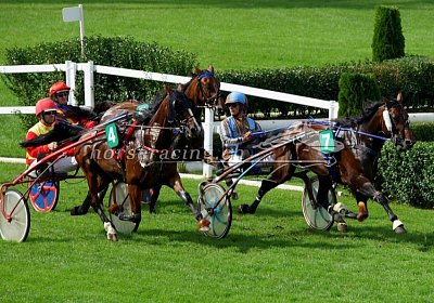 2023 09 17 Aarau nv 04 01 alcide roc be cool d eb