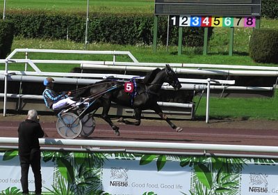 2023 09 09 Av D S7730046 Jack