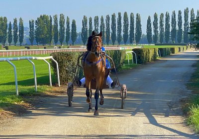 2023 09 10 Av IMG 8526 La Formidable