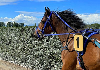 2023 09 22 IMG 9873 La Formidable