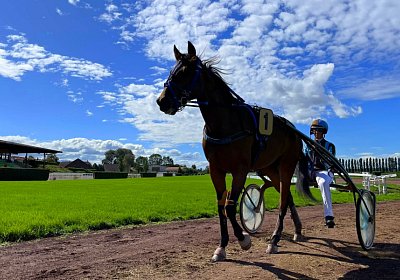 2023 09 22 IMG 9880 La Formidable