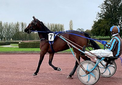 2023 10 27 IMG 2160 Divina