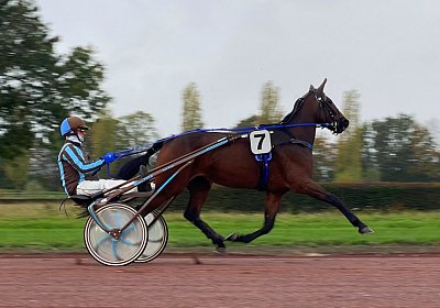 2023 10 27 IMG 2165 Divina