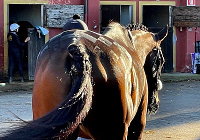 2023 11 05 TrevisoIMG 2693 Fandango