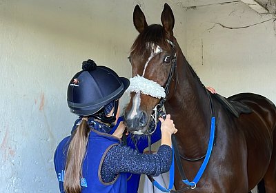 2023 11 05 TrevisoIMG 2703 Fandango