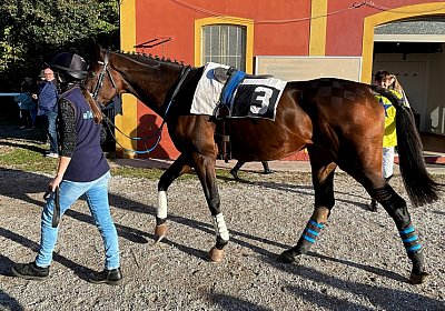 2023 11 05 TrevisoIMG 2715 Fandango