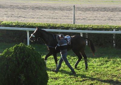 2023 11 05 TrevisoQ S7920013 Fandango