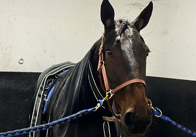 2023 12 04 Vincennes IMG 0793 Maggiore