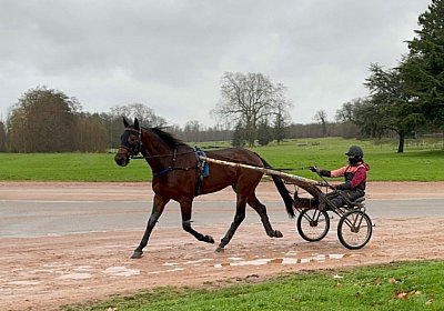 2023 12 05 Grosbois IMG 0901 Alcide