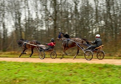 2023 12 05 Grosbois IMG 0928 Alcide Espada