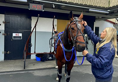 2023 12 25 Vincennes IMG 1536 Alcide