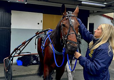 2023 12 25 Vincennes IMG 1537 Alcide