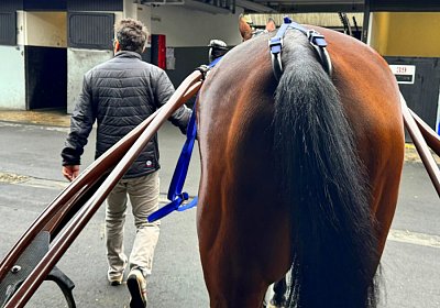 2023 12 25 Vincennes IMG 1541 Alcide