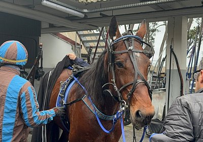 2023 12 25 Vincennes IMG 1592 Alcide