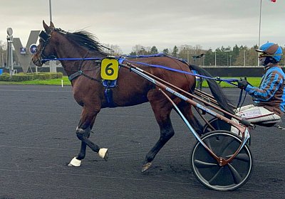 2023 12 25 Vincennes IMG 1623 Alcide