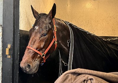 2023 12 25 Vincennes X IMG 1643 Alcide