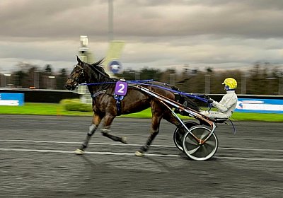 2023 12 30 Vincennes Maggiore IMG 1840