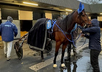 2024 02 10 Divina Vincennes IMG 3980