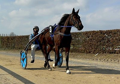 2024 02 29 Avenches IMG 4933 Maggiore