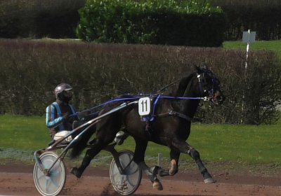 2024 02 29 Avenches K S8200024 Jack