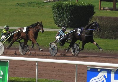2024 02 29 Avenches K S8200041 Jack