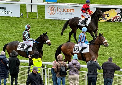 2024 04 01 Frauenfeld IMG 7585 Fandango Tkliwy