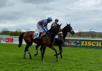 2024 04 01 Frauenfeld L IMG 7596 Fandango Tkliwy