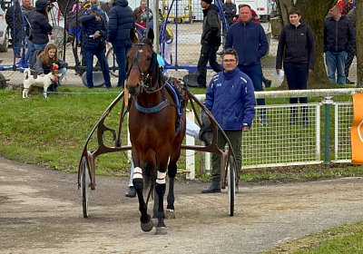 2024 04 01 Frauenfeld N IMG 7656 Alcide