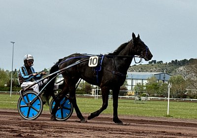 2024 04 06 Cavaillon IMG 7968 Jack Scott