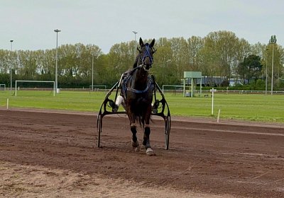 2024 04 06 Cavaillon IMG 8041 Jack Scott