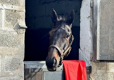2024 04 06 Cavaillon T IMG 8110 Jack Scott