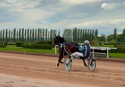 2024 04 11 Av IMG 8446 Noon