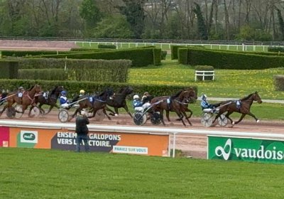 2024 04 11 Av M IMG 8583 Maggiore