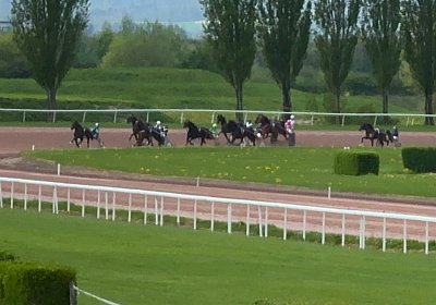 2024 04 11 Av M IMG 8598 Maggiore