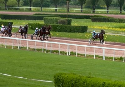 2024 04 11 Av M IMG 8607 Maggiore