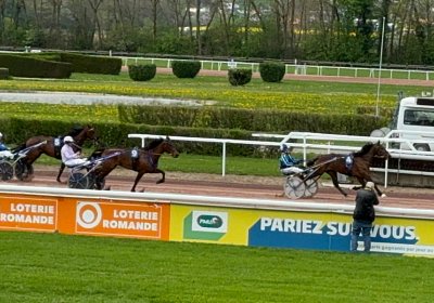 2024 04 11 Av M IMG 8622 Maggiore