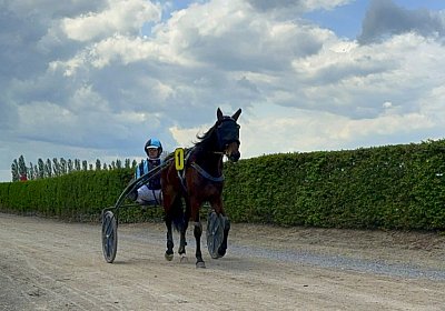 2024 04 11 Av P IMG 8663 Fanta