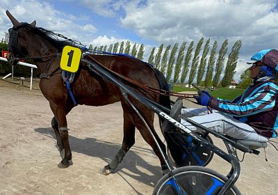 2024 04 11 Av P IMG 8675 Fanta