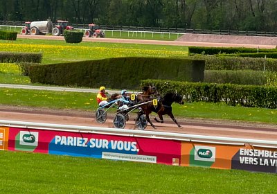 2024 04 11 Av P IMG 8752 Fanta