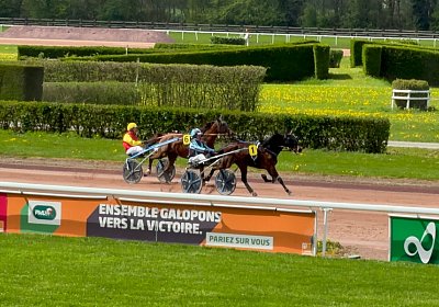 2024 04 11 Av P IMG 8757 Fanta