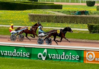 2024 04 11 Av P IMG 8763 Fanta