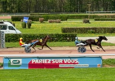 2024 04 11 Av P IMG 8777 Fanta